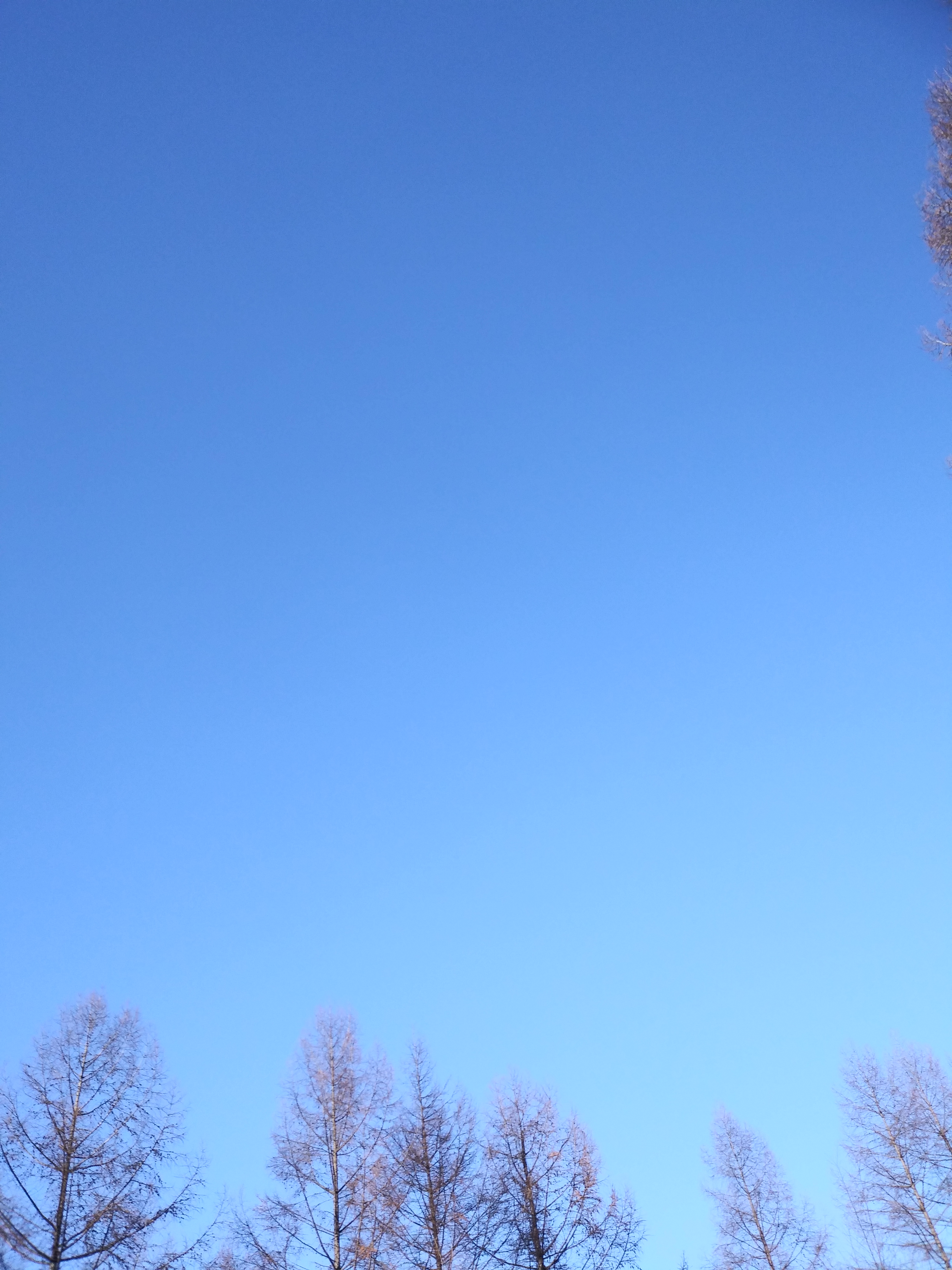 파란 하늘